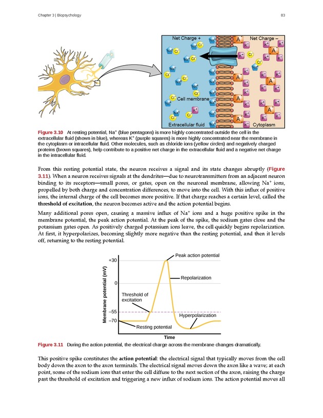 Psychology 2e - Page 79