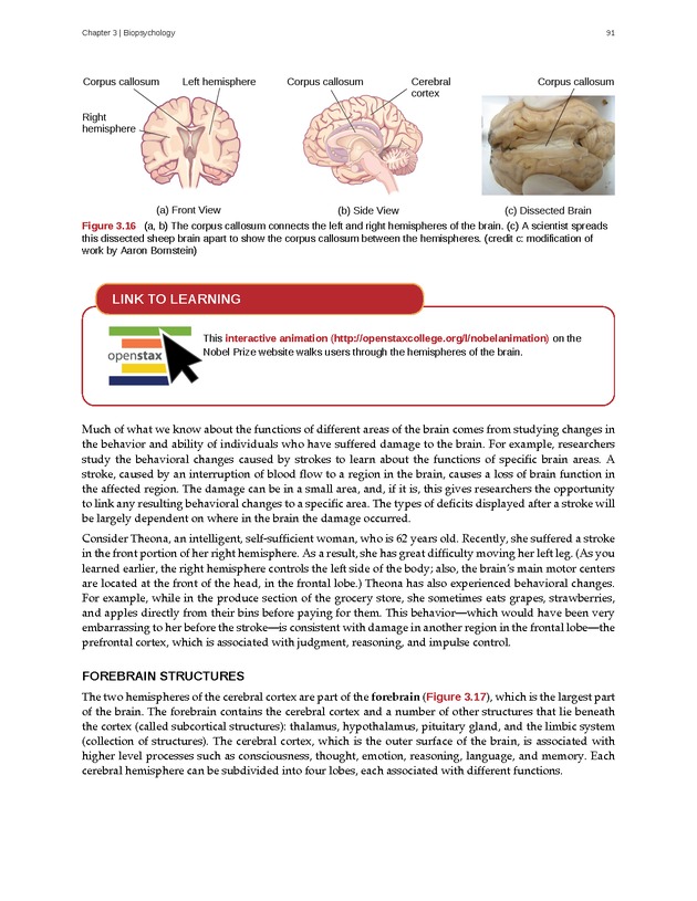 Psychology 2e - Page 87