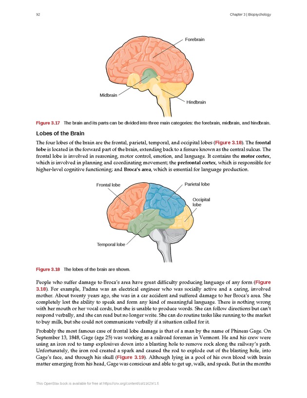 Psychology 2e - Page 88