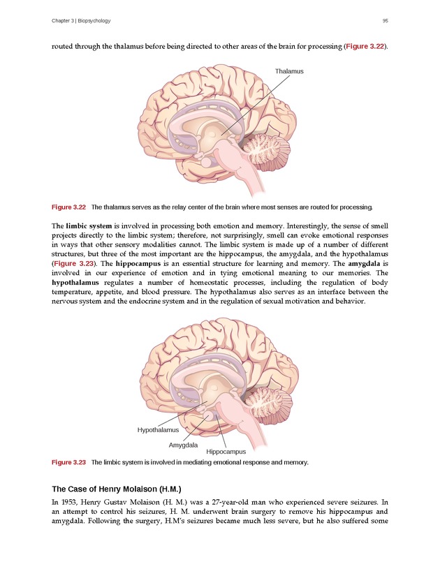 Psychology 2e - Page 91