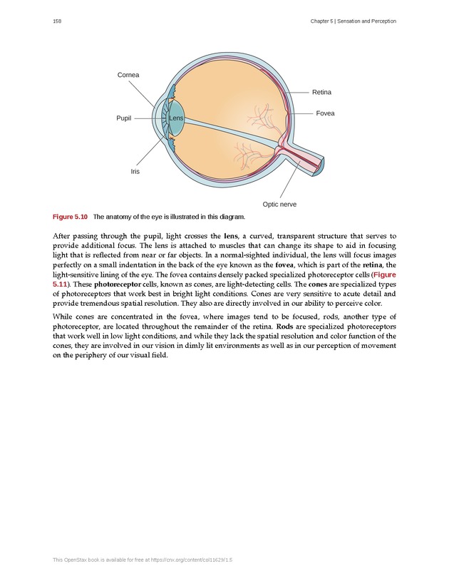 Psychology 2e - Page 154