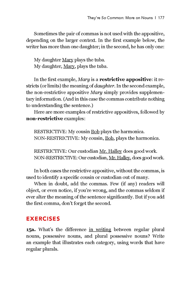 Brehe's Grammar Anatomy - Page 177
