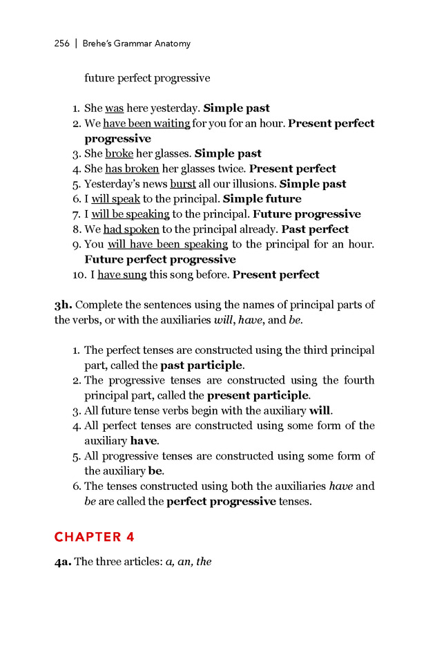 Brehe's Grammar Anatomy - Page 256