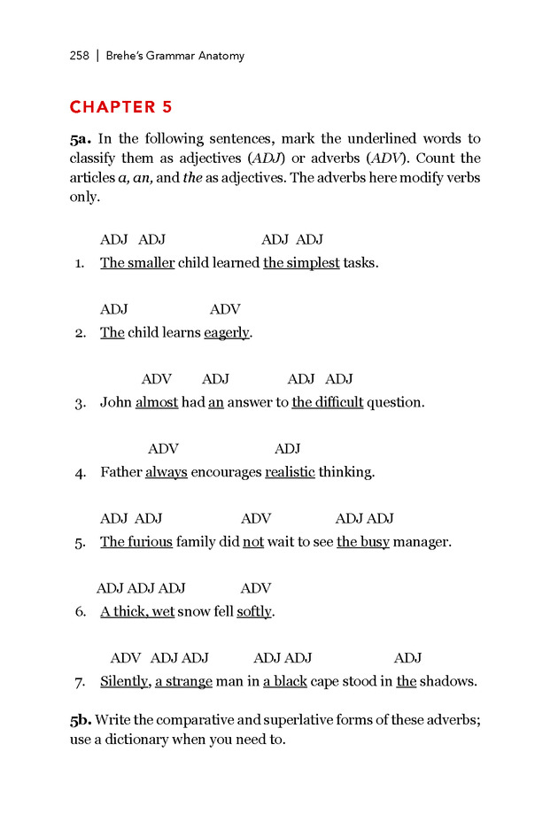 Brehe's Grammar Anatomy - Page 258