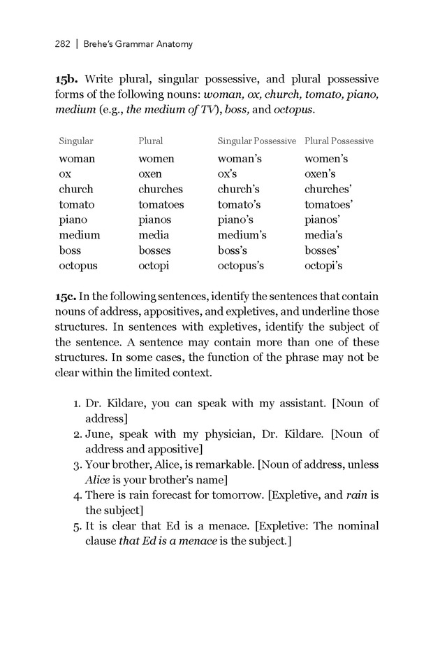 Brehe's Grammar Anatomy - Page 282