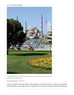 MISSING THUMBNAIL