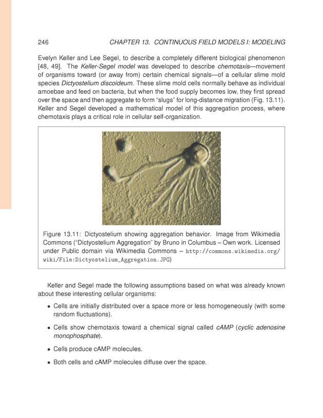 Introduction to the Modeling and Analysis of Complex Systems - Page 246