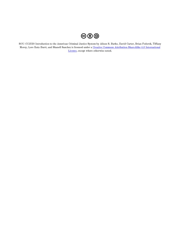Introduction to the American Criminal Justice System - Title Page 2