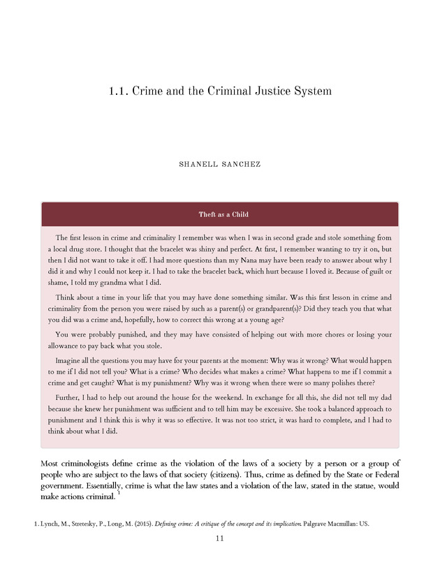 Introduction to the American Criminal Justice System - Page 11