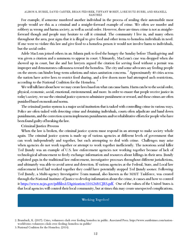 Introduction to the American Criminal Justice System - Page 12