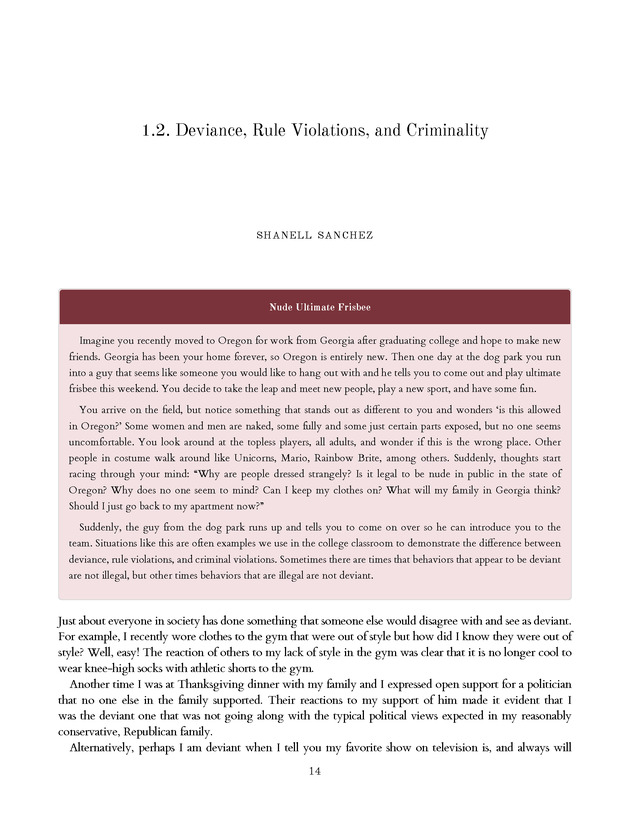 Introduction to the American Criminal Justice System - Page 14
