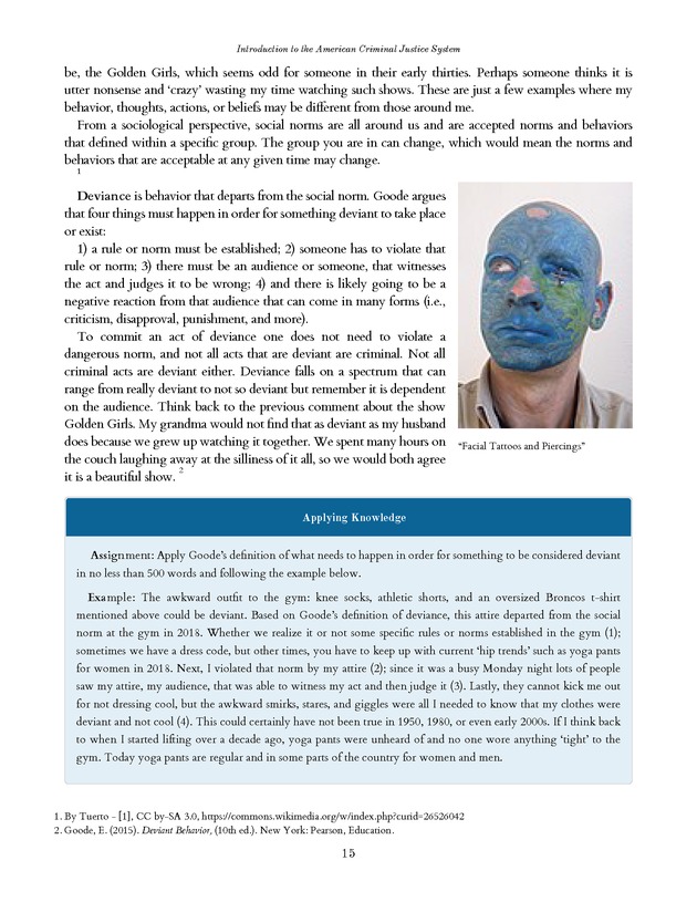Introduction to the American Criminal Justice System - Page 15