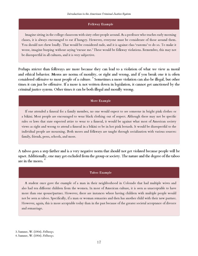 Introduction to the American Criminal Justice System - Page 17