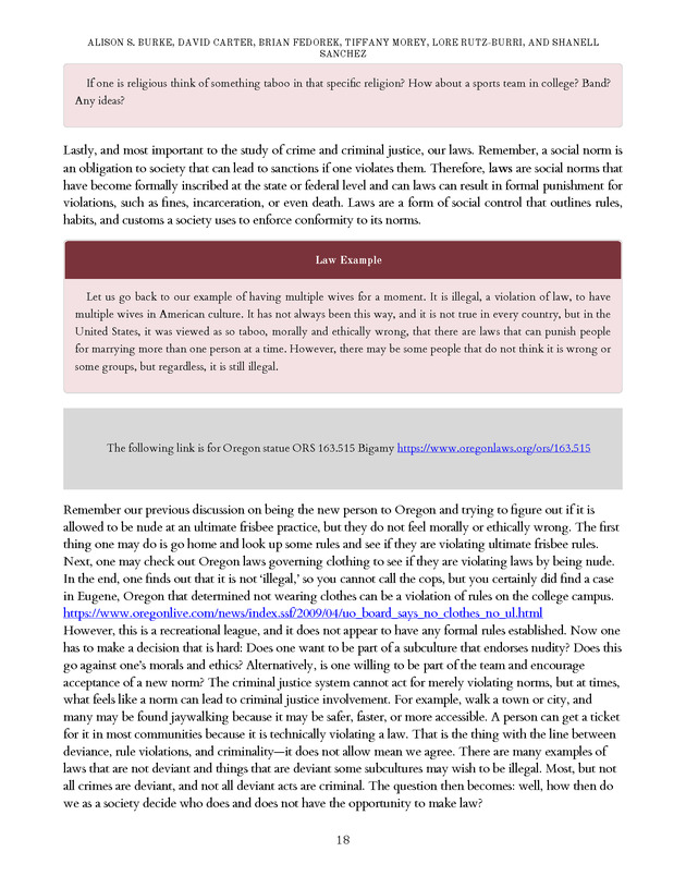 Introduction to the American Criminal Justice System - Page 18