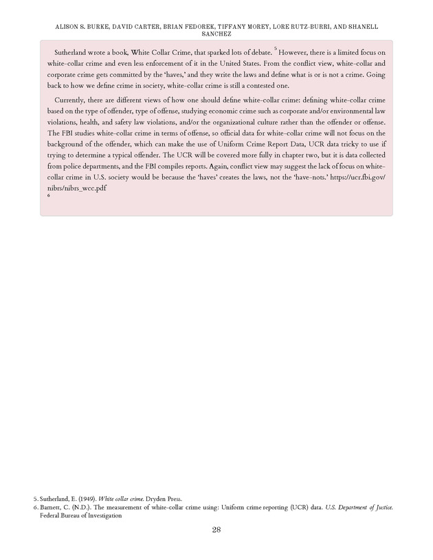 Introduction to the American Criminal Justice System - Page 28