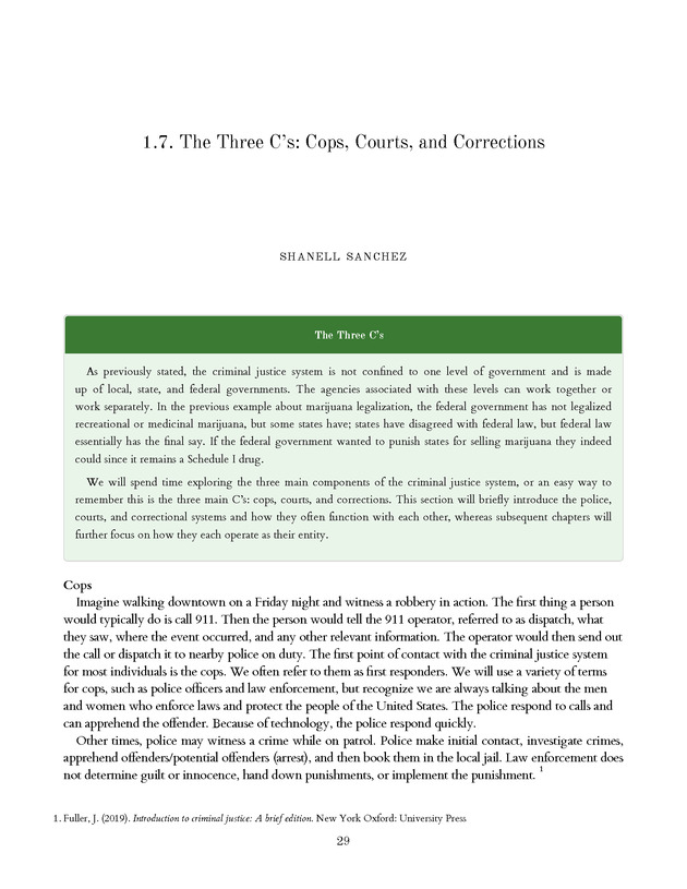 Introduction to the American Criminal Justice System - Page 29