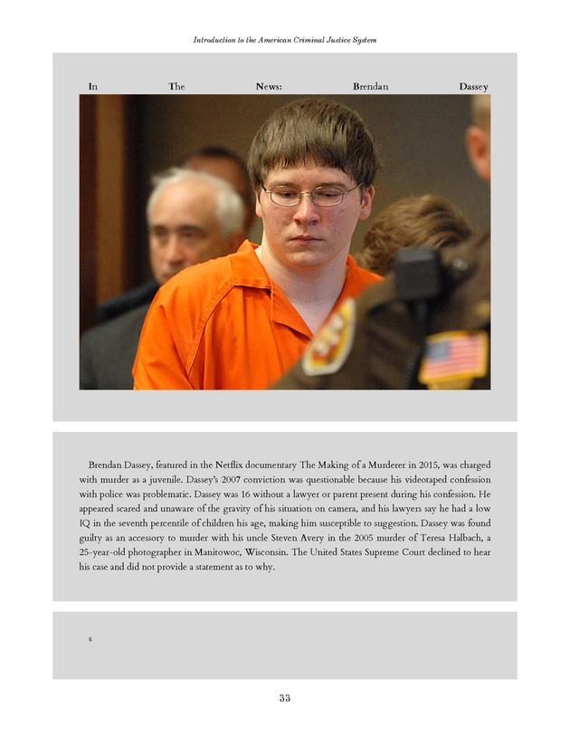 Introduction to the American Criminal Justice System - Page 33