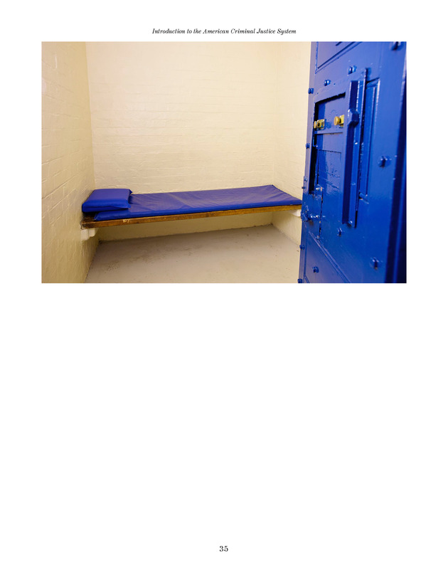 Introduction to the American Criminal Justice System - Page 35