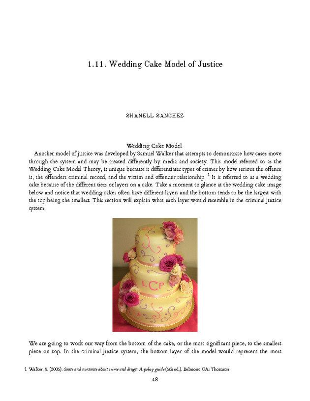 Introduction to the American Criminal Justice System - Page 48