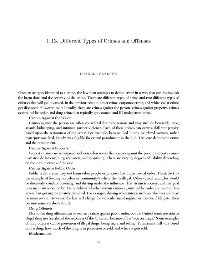 Introduction to the American Criminal Justice System - Page 55