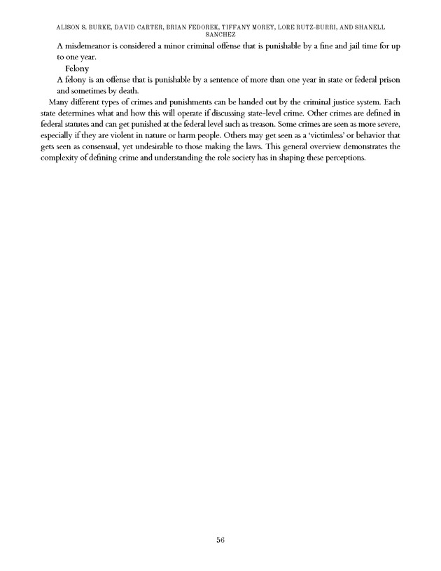Introduction to the American Criminal Justice System - Page 56