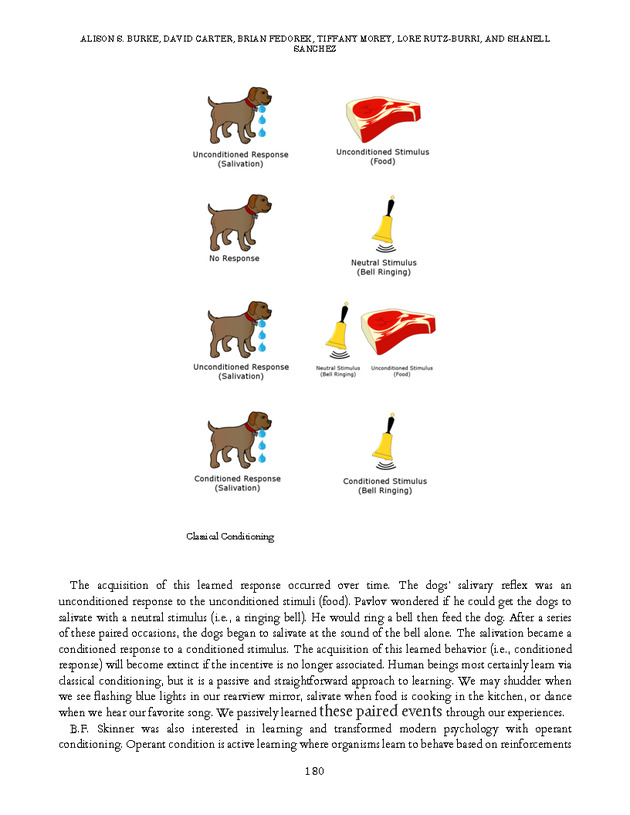 Introduction to the American Criminal Justice System - Page 180