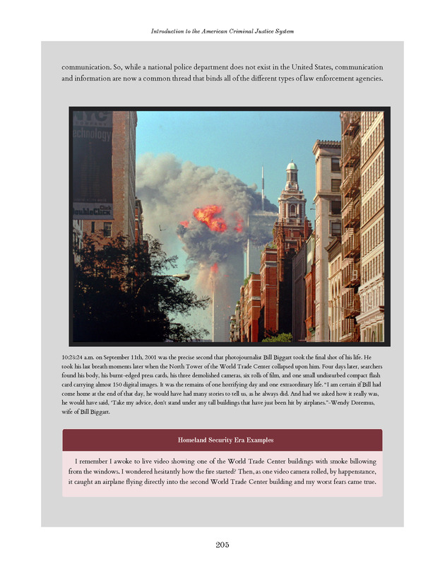 Introduction to the American Criminal Justice System - Page 205