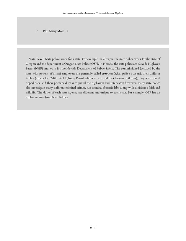 Introduction to the American Criminal Justice System - Page 211
