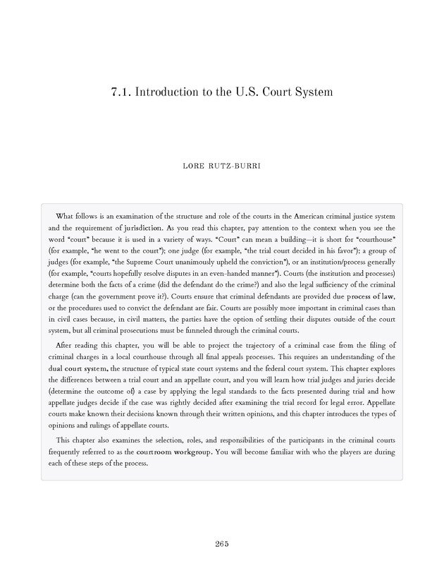 Introduction to the American Criminal Justice System - Page 265