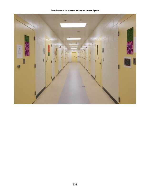 Introduction to the American Criminal Justice System - Page 331