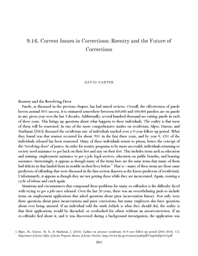 Introduction to the American Criminal Justice System - Page 384