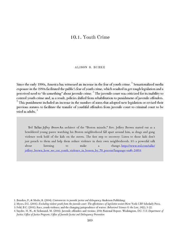 Introduction to the American Criminal Justice System - Page 389