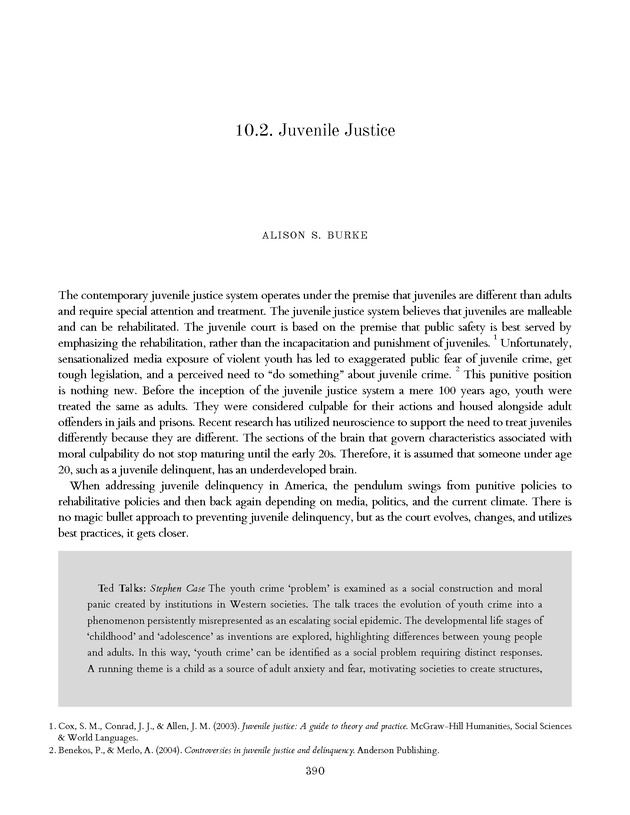 Introduction to the American Criminal Justice System - Page 390