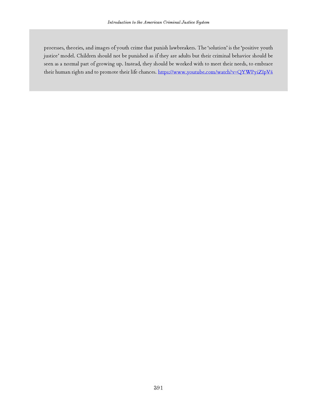 Introduction to the American Criminal Justice System - Page 391
