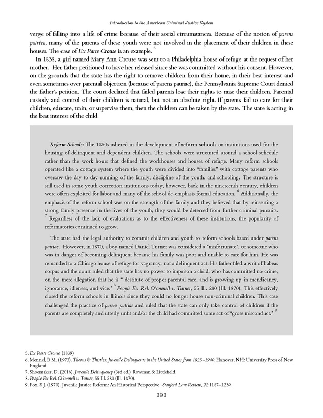 Introduction to the American Criminal Justice System - Page 393