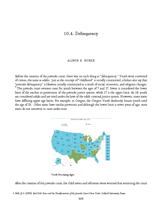Introduction to the American Criminal Justice System - Page 396