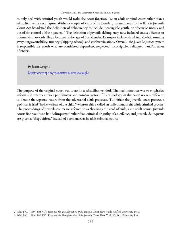 Introduction to the American Criminal Justice System - Page 397
