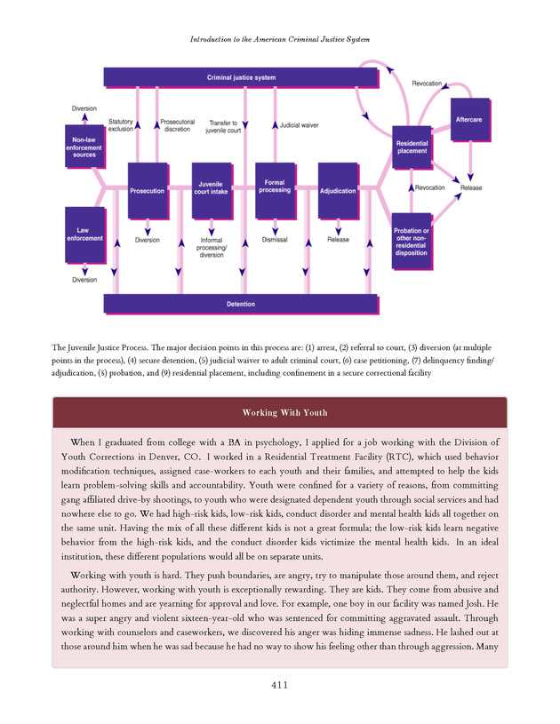 Introduction to the American Criminal Justice System - Page 411