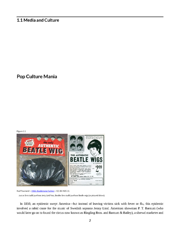 Understanding Media and Culture - New Page