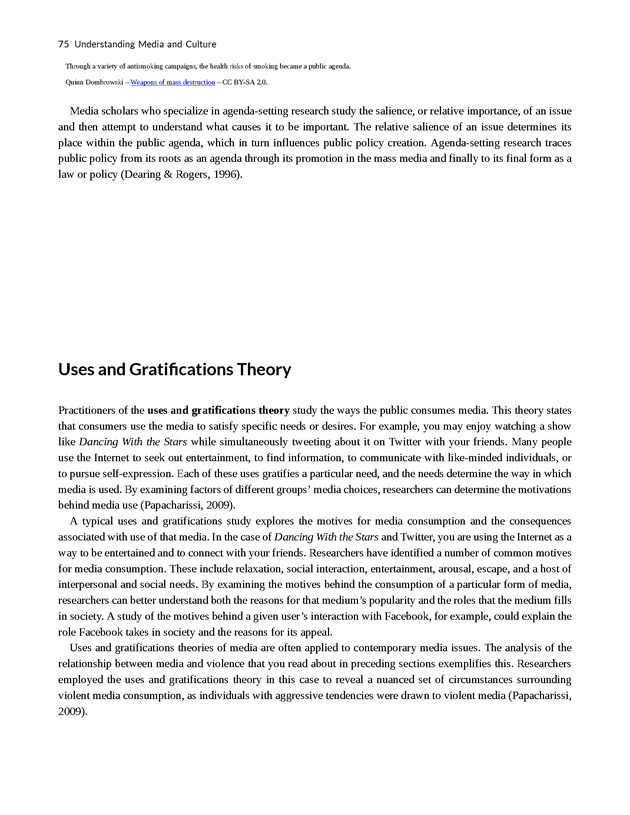 Understanding Media and Culture - New Page