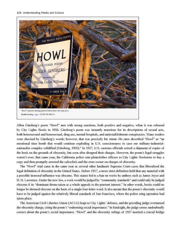 Understanding Media and Culture - New Page