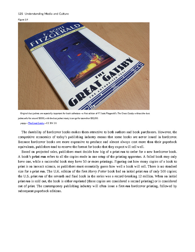 Understanding Media and Culture - New Page