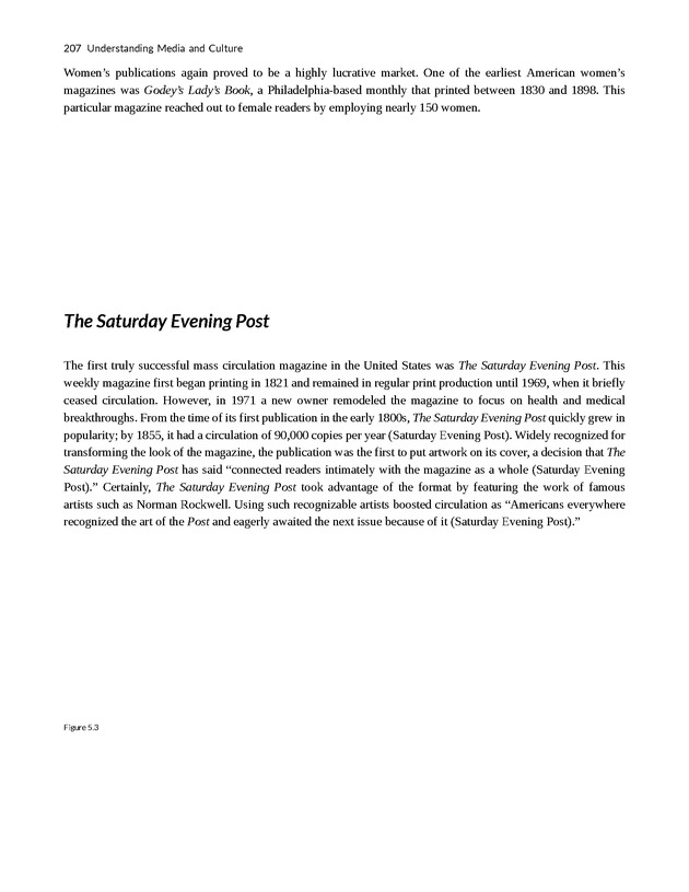 Understanding Media and Culture - New Page