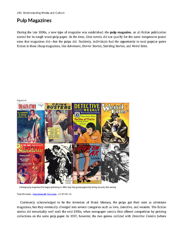 Understanding Media and Culture - New Page