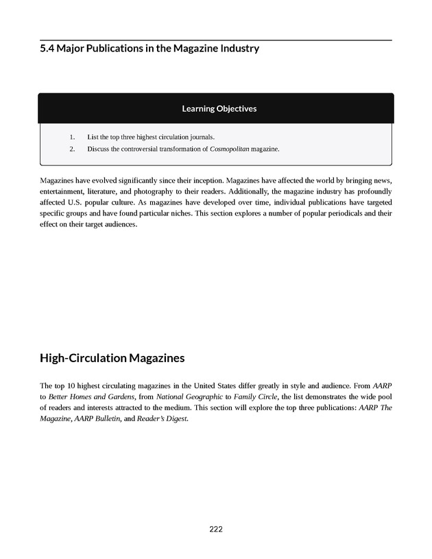Understanding Media and Culture - New Page