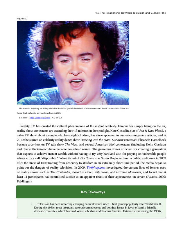 Understanding Media and Culture - New Page