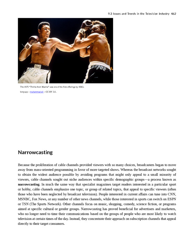 Understanding Media and Culture - New Page