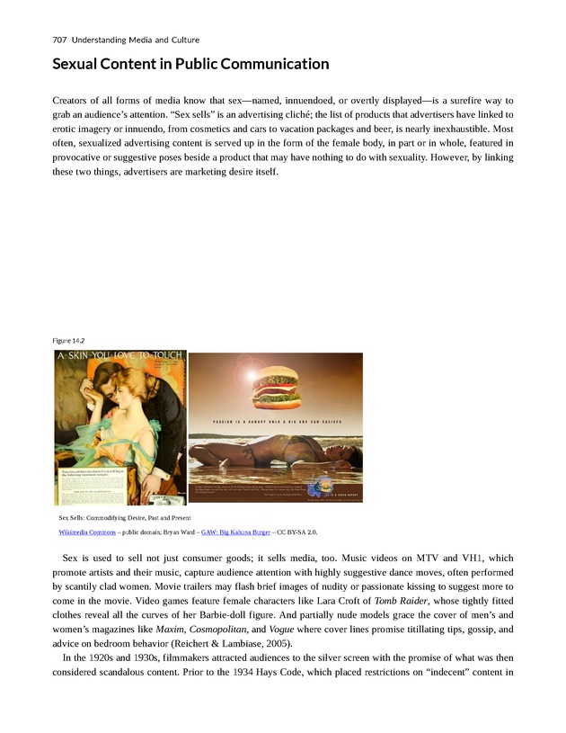 Understanding Media and Culture - New Page