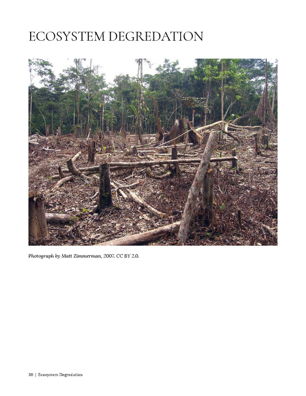 Environmental ScienceBites Volume 1 - New Page