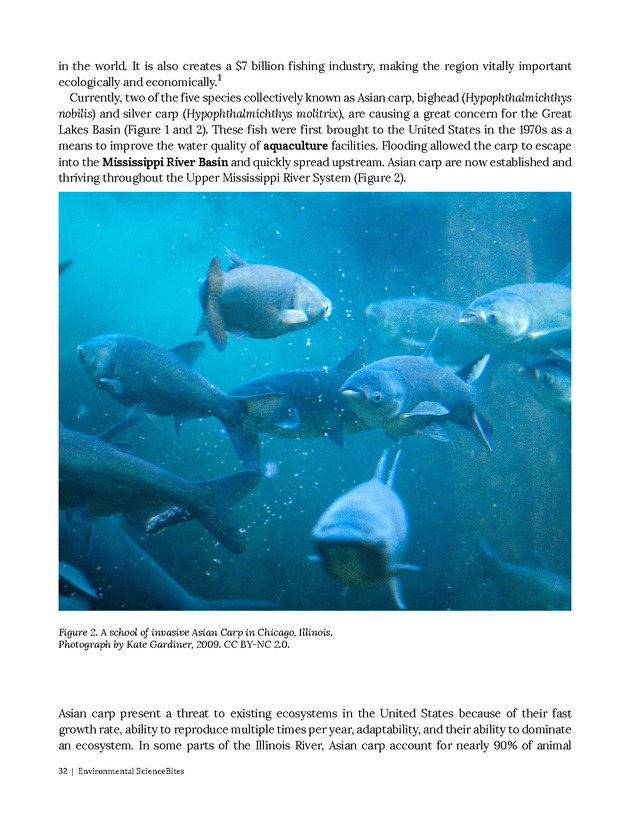 Environmental ScienceBites Volume 1 - New Page